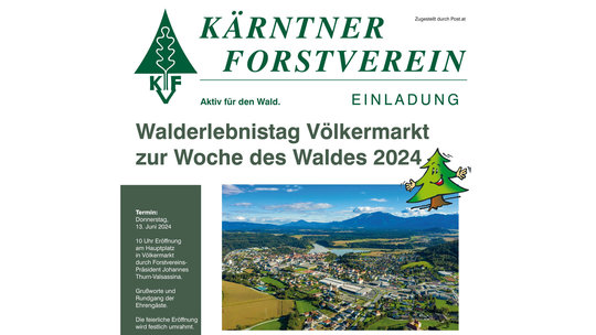 Walderlebnistag in Völkermarkt zur Woche des Waldes 2024